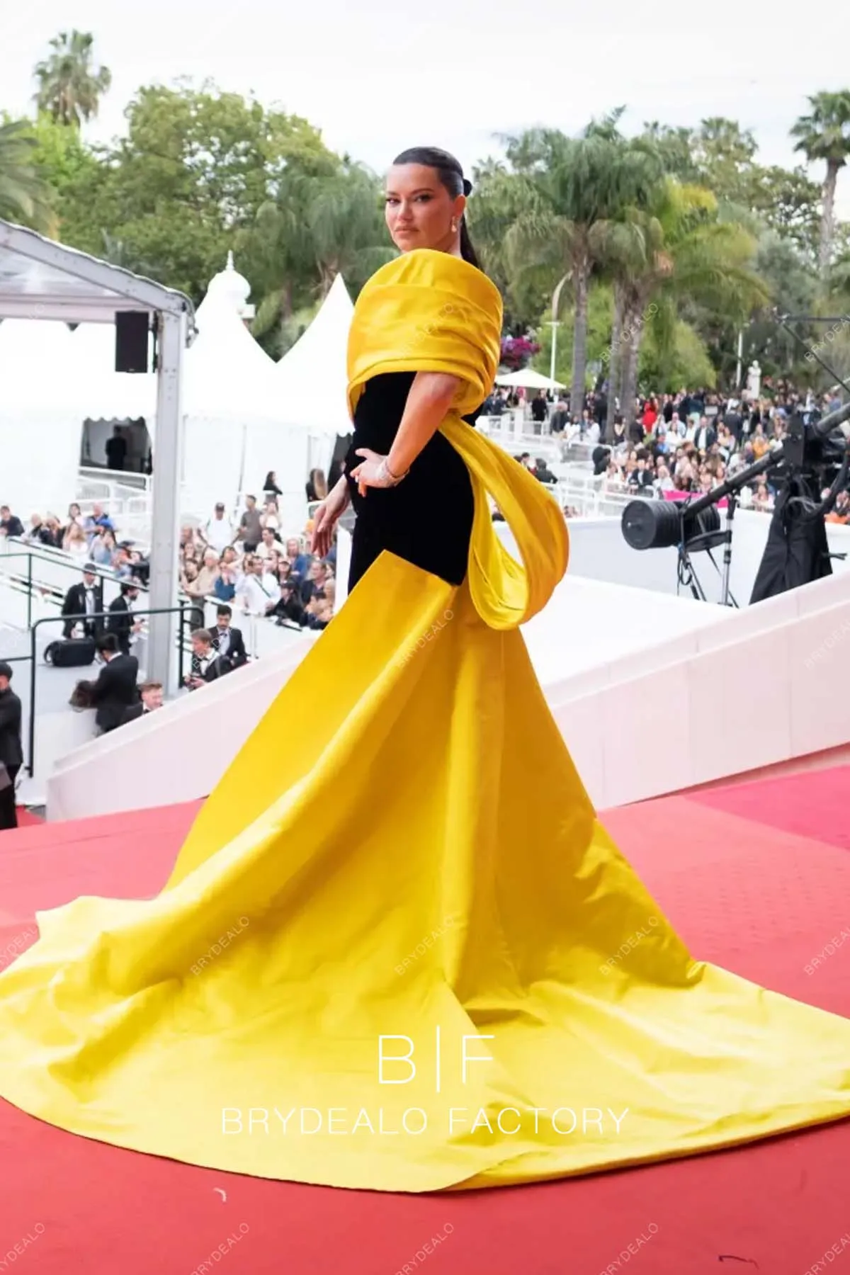 Adriana Lima 2023 Cannes Film Festival Two-Tone Mermaid Red Carpet Dress