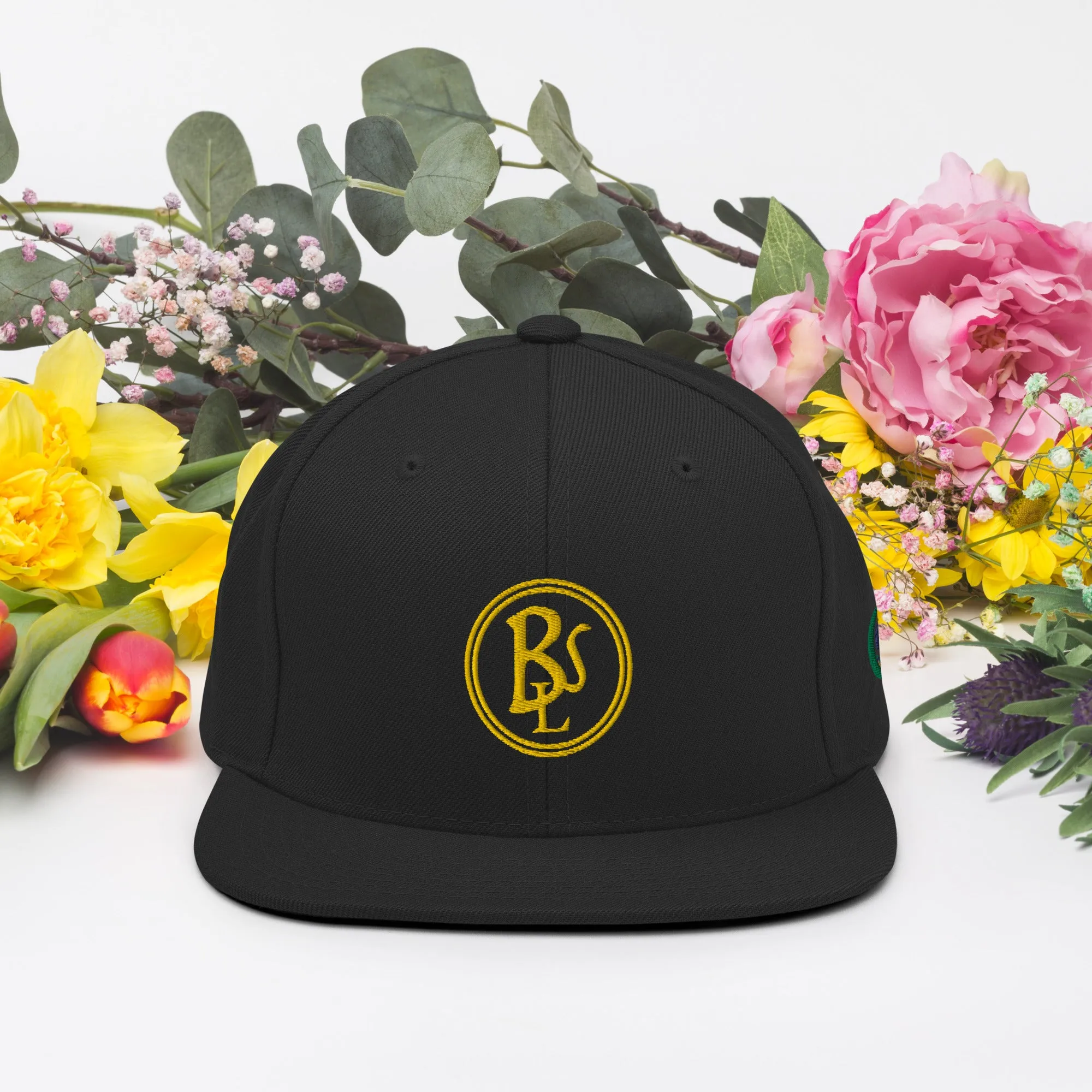 BSL | Snapback Hat