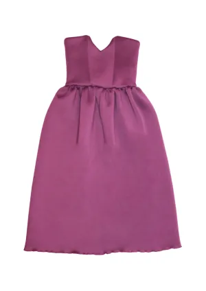 BUSTIER DRESS