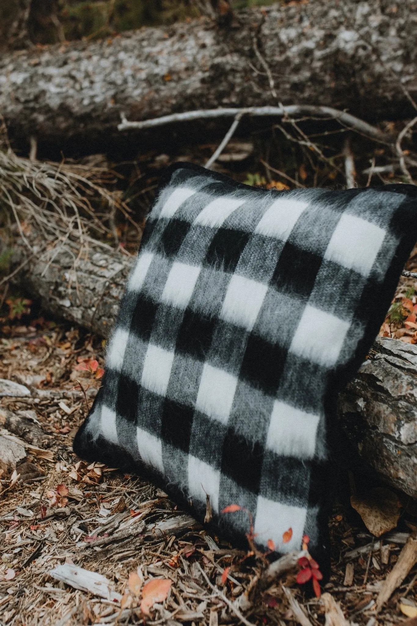 Checker Alpaca Pillow Cover