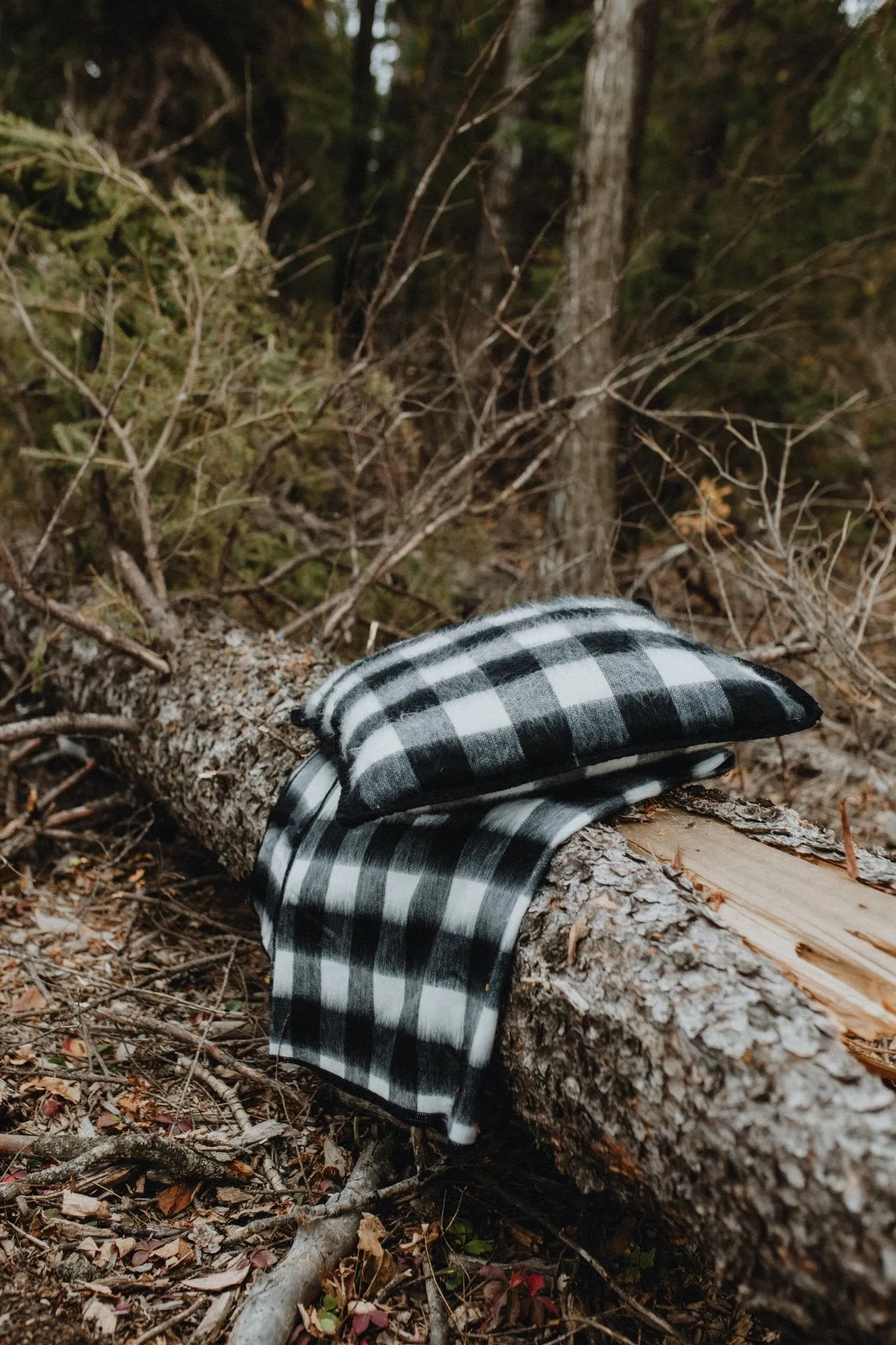 Checker Alpaca Pillow Cover